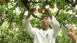 명인·명작 농산물으로 수입개방 극복한다