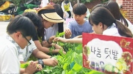 텃밭 가꾸면 학습능력도 향상