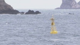 충남 서해안 만조 시간  해수면 수위 상승