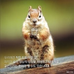[한컷뉴스] 도토리 줍지 마세요 다람쥐에게 양보하세요