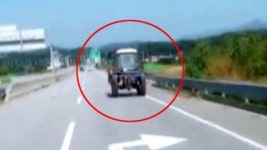 [영상] 이곳은 자동차 전용도로인데…