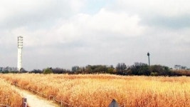 [날씨] 주말까지 맑고 선선...다음 주 초겨울 추위
