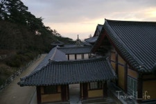 [뒤로 걷는 여행, 불국사②] 다보탑의 잡혀간 사자들