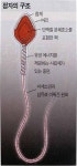 정자가 난자를 만날 때