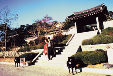 신사임당- 그를 ‘현모양처’에 가두지 말라