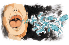 간장게장- 그 집의 프로정신, 맛없다…