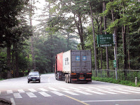 숲의 이야기를 들어라