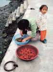 [이주의 사진] 수줍음, 배 위의 사람