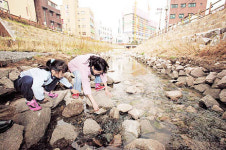 성북천도 돌아왔다