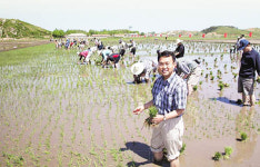 비뚤비뚤 뭉텅뭉텅, 모내기 전투!
