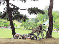 [이주의 사진] 아름다운 휴식   ·  견공 팔자