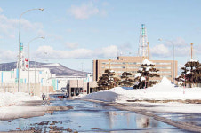 로카쇼무라, 국회가 움직인다