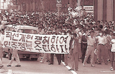 개헌과 짝짓기 놀이
