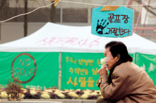 관광레저도시에선 골프만 치는가