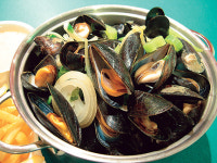 홍합회를 아십니까