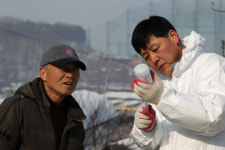 구제역 60일, 수의사의 절망