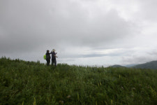 네가 내게로 와 꽃이 되었다-⑧ 분주령 야생화길(강원 태백)