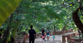 초가을 산촌의 숲에 취하다-⑩ 함양 상림(경남 함양)