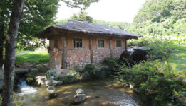 초가을 산촌의 숲에 취하다-⑩ 함양 상림(경남 함양)