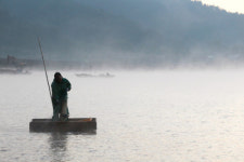 장어잡이 어부는 한숨 짓네