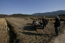 새봄을 위한 겨울 채비