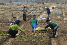 지금은 도시농업 시대