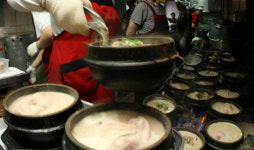 왜 회사 앞 식당밥은 맛이 없나