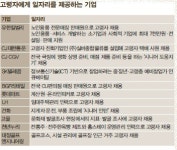 고령자 경쟁력, 써본 기업은 안다