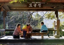 삶이 자라는 바람과 빛의 도서관
