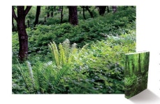 한뼘에 삼라만상이 담겼네