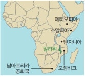 메마른 경제에 단비가 된 ‘보와(버섯을 일컫는 말라위말)’