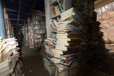 숲 속의 ‘책의 숲’을 아시나요