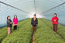 마녀들의 신명난 작당