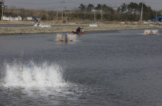 봄을 피워낸 산과 바다의 것들