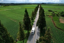 물멍 길멍 4500리