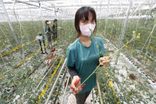 ‘우영우들의 농장’에서 풍겨온 빵 냄새