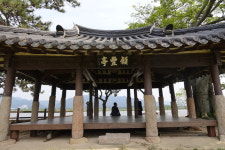 ‘해전하네’ 귀먹은 벼락 맞고도, 이팝나무 쌀밥 같은 꽃 피웠네