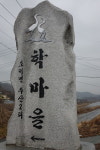 나무에게 위험한 건 백로 아니라 인간이라네