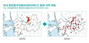 착한 러브버그 없애려다 ‘더 큰 놈’ 온다