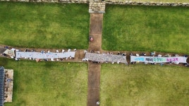 10만 제비떼의 장관, 올해도 볼 수 있을까