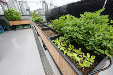 태양, 물, 사람의 연결… ‘전기료 0원’ 마을 자체가 에너지