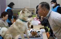 칠순의 눈빛과 댕댕이의 눈망울이 만나면