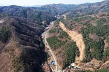 ‘명품숲’이라더니, 양수댐 짓는다고 11만여그루 나무 벤다