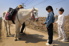 폐목장에서 죽음 기다리던 스물두 살 백설이, 다시 행복해