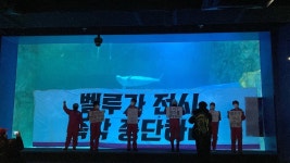 롯데월드의 ‘입막음 소송’ 사실상 패소… 너무 늦기 전에 “프리 벨루가”