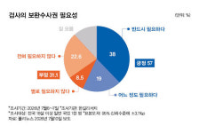 검찰이냐 경찰이냐… 보완수사권, 그 질문부터 잘못됐다