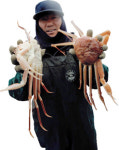 영덕대게 진짜 끝내주네!