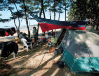 충남 태안 - 몽산포야영장