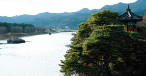 충북 영동 - 송호국민관광지 야영장
