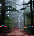 더위 싹~ 시름 툭툭~ ‘목장길 산책’